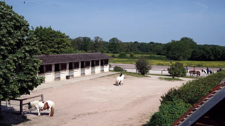 “Par leur présence sur l’ensemble du territoire national, les poney-clubs et centres équestres participent activement à l’animation locale et à l’amélioration du cadre de vie”, argue la FFE