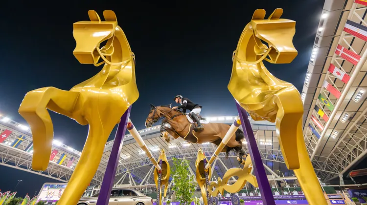 Scott Brash et Hello Jefferson semblent imbattables en ce début d’année 2026.