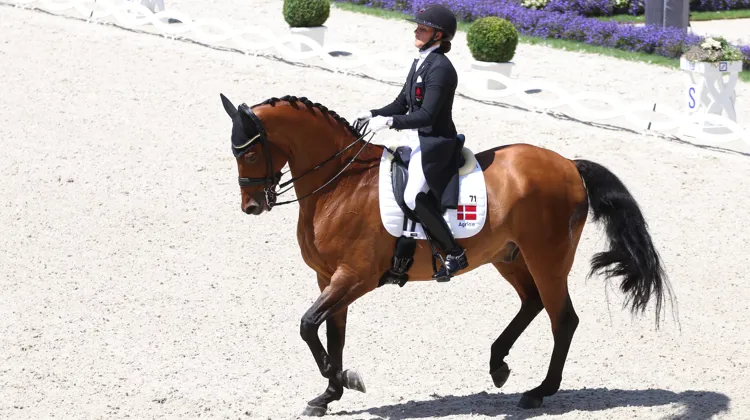 Cathrine Dufour et Vamos Amigos, lauréats du Grand Prix, du Spécial et de la Coupe des nations avec le Danemark. 