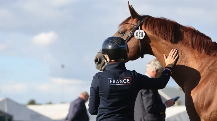 Onze nations sont attendues au CSIO Compiègne, programmé du 27 au 30 avril. 