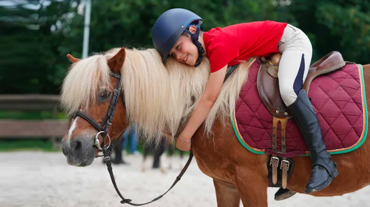 Le poney et l’enfant ont encore de belles années à vivre ensemble.