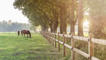 Clôtures en bois labélisé ou en plastique recyclé, les solutions d’avenir de De Sutter Naturally