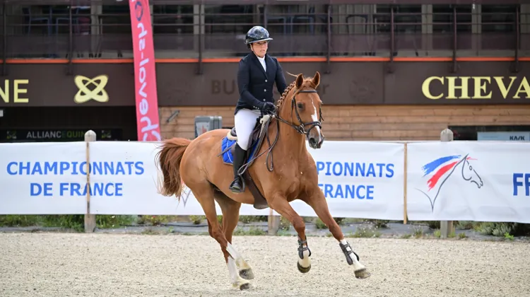 Le Pôle européen du Cheval réunit chaque année près de cinquante mille cavaliers lors de plus de trente week-ends de compétition.