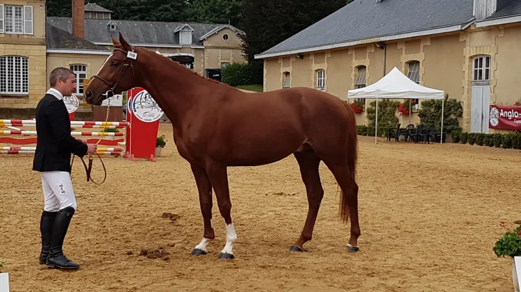 Eryo Declyange, un champion 2017 superbe
