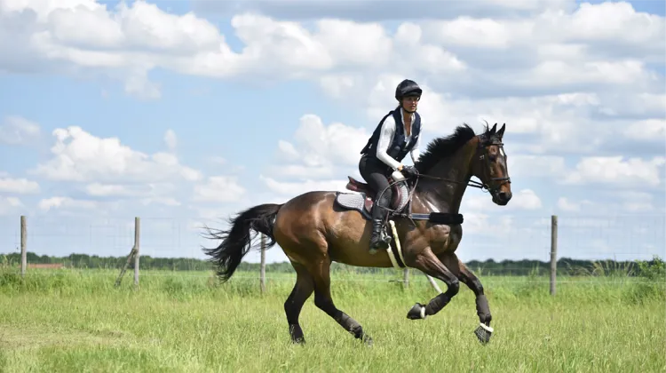 Seras-tu la nouvelle égérie HIT-AIR 2023 ? 