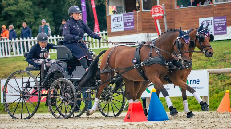 Louise Fillon, médaillée de bronze d'attelage paire. 