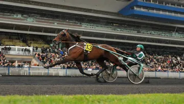Maharajah à Vincennes. Ph. Scoodpyga.