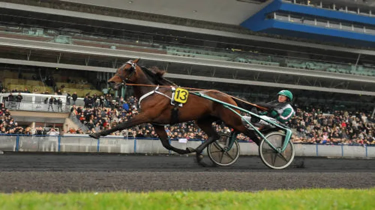 Maharajah à Vincennes. Ph. Scoodpyga.
