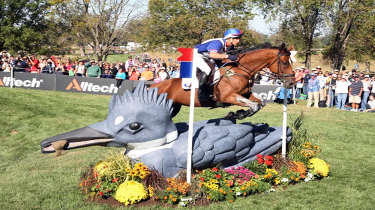 La performance de Pascal Leroy n'aura pas suffi à sauver les Bleus. Ph Scoopdyga