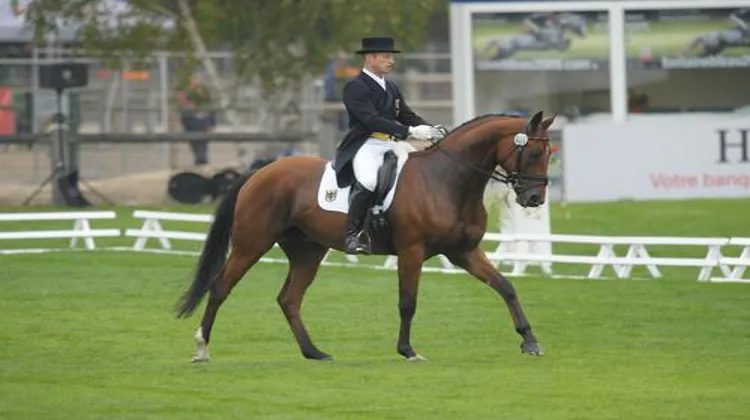Michael Jung et Sam à Fontainebleau. Ph. Scoopdyga.
