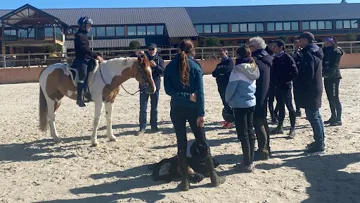 “Les chevaux sont différents avec chaque cavalier, et rien qu’en observant et en discutant avec ceux qui les ont montés, on arrive à trouver des axes d’amélioration sur l’attitude, le comportement, etc.”, apprécie Nicolas Ballarin.