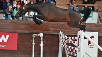 Konisha des Forêts a enchanté le public et fait monter les enchères à 60 000 euros.