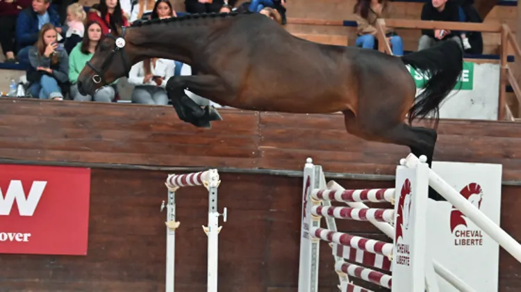 Konisha des Forêts a enchanté le public et fait monter les enchères à 60 000 euros.