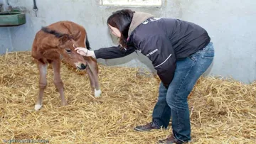 Blue Moun, par Ismène du Temple et Lando 