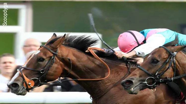 Workforce, vainqueur du Prix de l'Arc de Triomphe.
