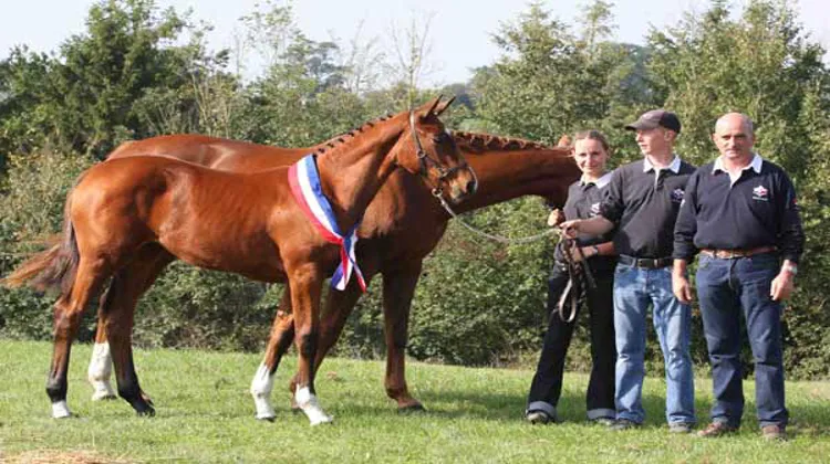 Ariane des Ajoncs gagne chez les foals femelles. Ph. Jennifer Decamp.