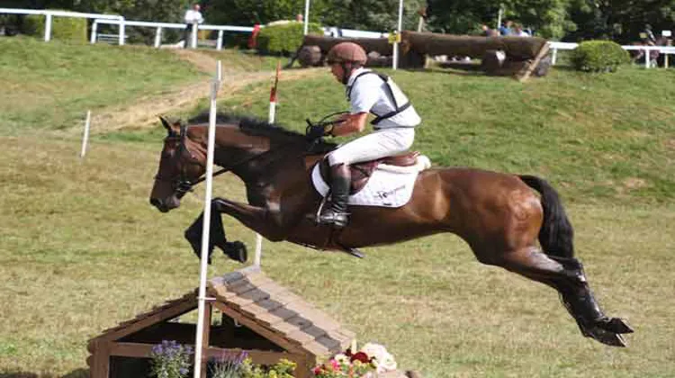 Feautibull, champion des cinq ans à Pompadour. Ph. Pauline Chevalier.