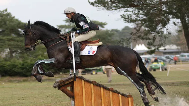 Stanislas de Zuchowicz à Fontainebleau. Ph. Pauline Chevalier.