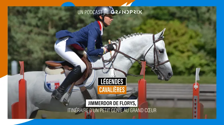 “Jimmerdor de Florys, itinéraire d’un petit génie au grand cœur”, dans Légendes cavalières