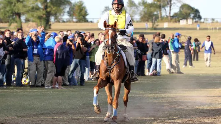 Cheikh Mohammed, vainqueur du pré-ride d'Euston Park, ici à Lexington en 2011. (Ph. Scoopdyga)