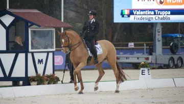 Photo World Dressage Masters