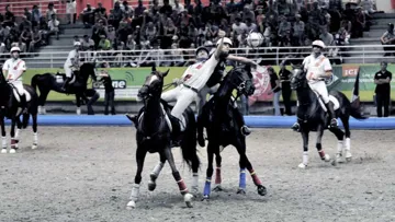Blanzac remporte la Champion's League (Ph. MA Thierry)
