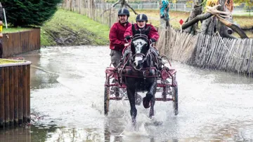 Claire Lefort termine cinquième en attelage solo Poney