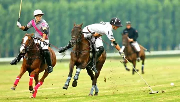 Nicolàs Pieres (Talandracas) et Facundo Sola (Murus Sanctus) se sont livrés en duel jusqu'à la dernière minute du match © R&B Presse/P.Renauldon