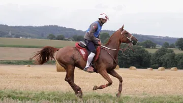 Kalid Sanad A. Al Nuami et Kinaye de Sinuhe ont remporté la course de Corlay. Photo Pierre Jambou