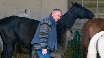 Jean-Claude Olivier, au milieu de juments et poulains de son élevage. Photo Patrick Crasnier