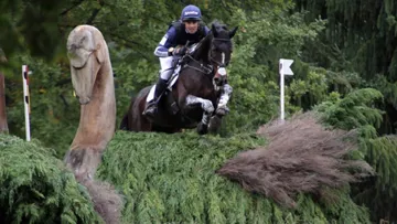 Auteur d?un maxi sur Clifton Promise, Jonathan Paget a pris la tête du CCI 4* de Pau, cet après-midi dans le Béarn. Crédit Pauline Chevalier