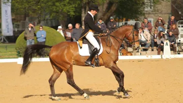Sous un beau soleil et en débit des rafales de vent, Hildago de l'ïle a, comme d'habitude, déroulé une superbe reprise avec Nicolas Touzaint. Photo Pauline Chevalier
