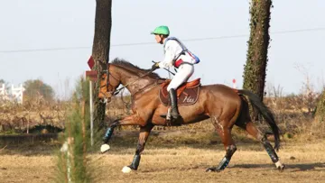 Nicolas Touzaint compte cette année sur Crocket 30 afin d'essayer de remporter le Grand National de Tartas pour la cinquième fois consécutive. Photo FFE/PSV