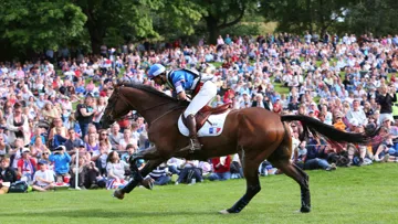 Champion de France l'an passé avec Hidalgo de l'Ile, Nicolas Touzaint ne remettra pas son titre en jeu cette année. Photo Scoopdyga
