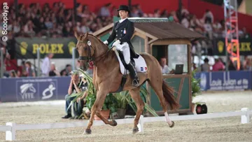 Hilton du Clotobie est actuellement en convalescence. 