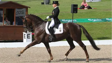 Domination allemande à Broholm (Ph. Ridehesten.com)