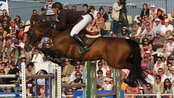 Orient Express, un cheval prometteur. Ph. Jennifer Decamp.