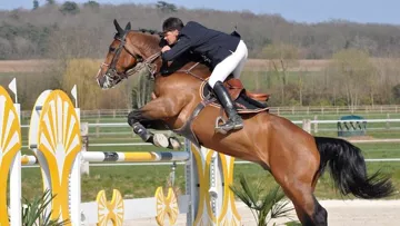 Jérôme Hurel et Warrior s'imposent à Autheuil-Authouillet (Ph. MA Thierry)