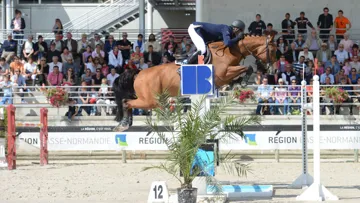 Julien Épaillard a parfaitement préparé Cristallo A*LM au CSIO 5* de Gijón, où il défendra une fois encore les couleurs de la France. Photo PixelsEvents