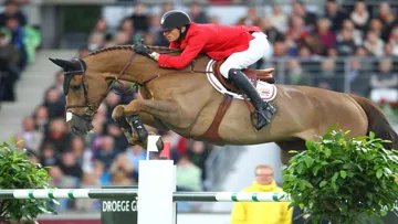 Grégory Wathelet a remporté le championnat de Belgique le week-end dernier avec Sea Coast Forlap. Son cheval de tête, Desteny van Het Dennehof (en photo), ayant subi une opération de cornage. ©scoopdyga