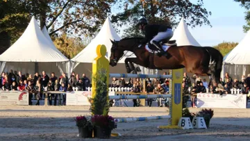 Jérôme Guery associé à Popstar Lozonais a remporté le Grand Prix à Rosières-aux-salines © Sarah Vagne