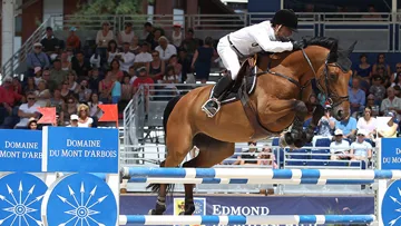 Olivier Robert et Raia d'Helby défendront les couleurs françaises à Treffen. Photo Sportfot