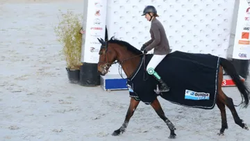 Alexandra Francart en selle sur Quelstar du Vic a remporté la première étape du Grand National d'Auvers. Photo FFE/PSV Morel