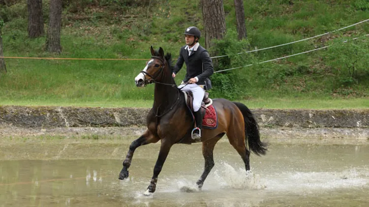Quinoa du Chanois, monté par Mathieu Laveau, n'a pas hésité une seconde dans le gué ! © PSV Morel