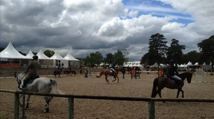 Le paddock du Grand Parquet. © CdY 