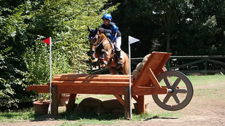 Victor Levecque et Qualitat des Bourdons, impeccables lors du cross, ambitionnaient la médaille d?or. Un refus et une barre à l?hippique les ont relégués à la troisième place. Photo DR