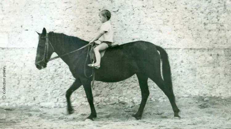 Reconnaissez-vous ce cavalier ?