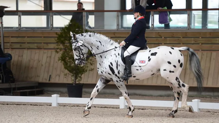 A l'image d'Emma Sheardown et Purdy's dream en Grade Ia, les Britanniques ont règnent le dressage para-équestre international. Photo Pixelsevents