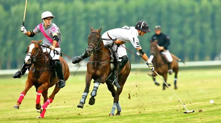 Nicolàs Pieres (Talandracas) et Facundo Sola (Murus Sanctus) se sont livrés en duel jusqu'à la dernière minute du match © R&B Presse/P.Renauldon