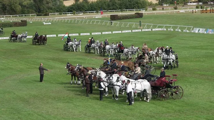 Vingt-trois nations vont disputer cette semaine le championnat du monde d'attelage par pairs, au Haras National de Topol??ianky